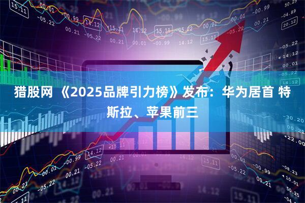 猎股网 《2025品牌引力榜》发布：华为居首 特斯拉、苹果前三